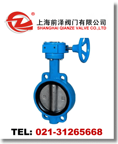 蝸輪對(duì)夾蝶閥