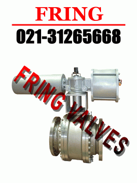 進(jìn)口氣動(dòng)球閥