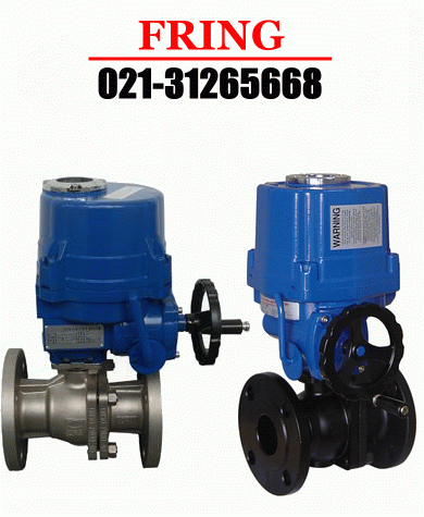 進(jìn)口電動(dòng)球閥