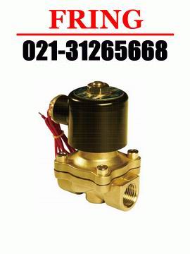 進(jìn)口銅電磁閥