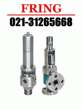 進(jìn)口高壓安全閥