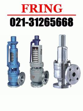 進(jìn)口高溫安全閥