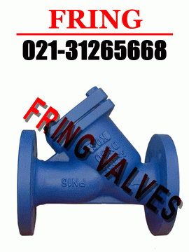 進(jìn)口過濾器