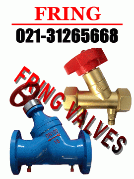 進(jìn)口平衡閥