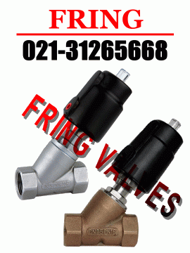 進(jìn)口角座閥