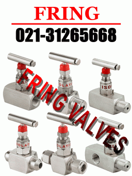 進(jìn)口針型閥